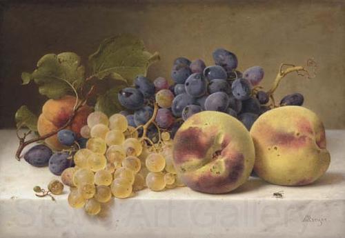 Johann Wilhelm Preyer A Still Life with Peaches and Grapes on a Marble Ledge